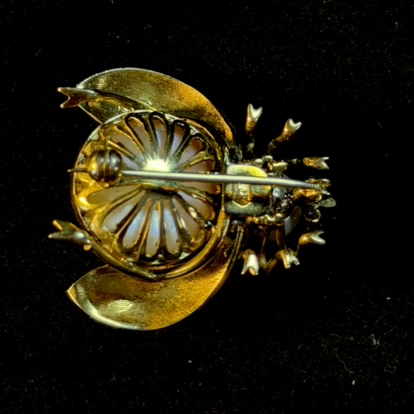 Vintage Yellow Gold Pearl and Ruby Insect Brooch